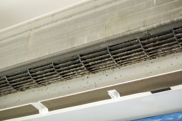 Best Ductwork Cleaning Services  in Simpsonville, KY